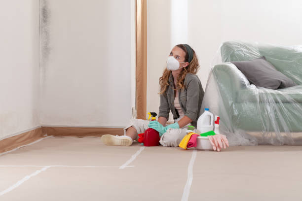 Reliable Mold Testing contractor in Hutto, TX by WQB Mold Removal